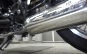 KAWASAKI W800 STREET 2022 EJ800E