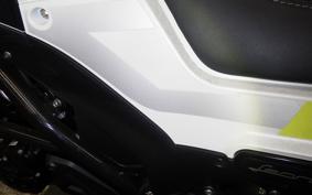 BENELLI レオンチーノ250