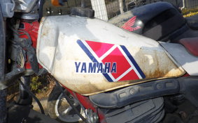 YAMAHA TY250 53Y
