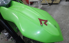 KAWASAKI KLX250 Gen.2 2019 LX250S
