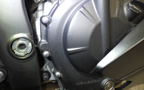 KAWASAKI ZX-4R SE 2024 ZX400P