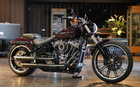 HARLEY FXBRS 2021 YHK