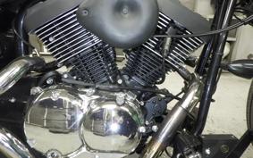 OTHER THUNDER 250 2024