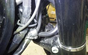 KAWASAKI W800-2ｽﾄﾘｰﾄ 2022