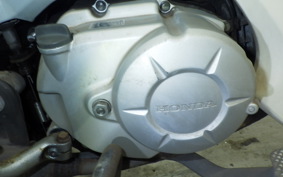 HONDA C110 SUPER CUB