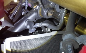 HONDA CBR250RR A 2015 MC51