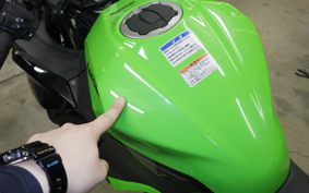 KAWASAKI NINJA 250 2009 EX250P