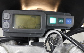 KAWASAKI KLX250 2025 LX250E