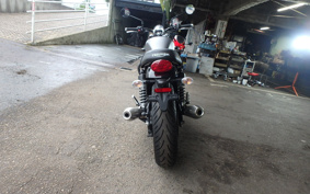 TRIUMPH SPEED TWIN 900 2023 DAD74G