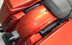 HARLEY FLTRX1920 2024