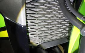 KAWASAKI NINJA 400 2019 EX400G