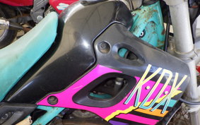 KAWASAKI KDX250SR DX250F