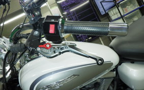 YAMAHA DRAGSTAR 250 2014 VG02J