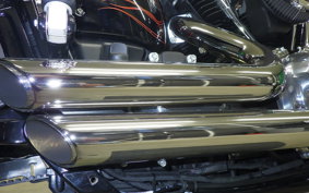 HARLEY FXST1750 2024