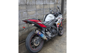 YAMAHA YZF-R25 RG10J