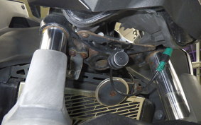KAWASAKI Z250 2008 ER250C