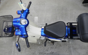 HONDA C110 SUPER CUB