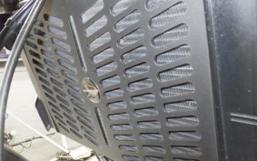 TRIUMPH TRIDENT 660 2021