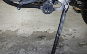 YAMAHA WR250X 2009 DG15J