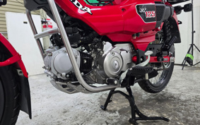 HONDA CT125 HUNTER CUB JA65
