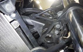 KAWASAKI NINJA 250 ABS