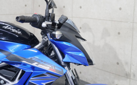KAWASAKI Z250 SL BR250E