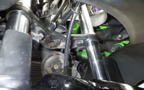 KAWASAKI NINJA 250R 2023 EX250K