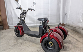 HONDA  BLAZE EV TRIKE  DMJC