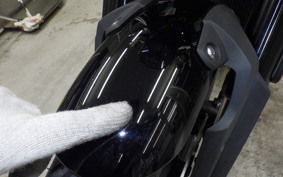 TRIUMPH SPEED TWIN 900 2025