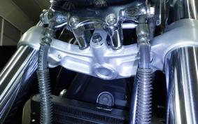 KAWASAKI ZEPHYR 750 2026