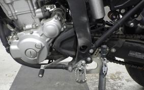 YAMAHA WR250X 2021 DG15J