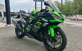 KAWASAKI NINJA ZX-6R 2019 ZX636G