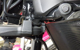 KAWASAKI Z900RS 2024 ZR900K