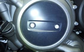 HARLEY RH975S 2024