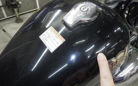 YAMAHA VIRAGO 250 TRIKE 3DM