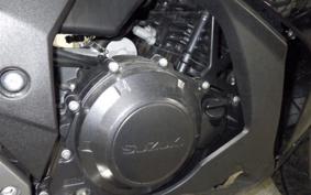 SUZUKI GSX250RA