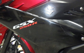 SUZUKI GSX250 R 2005