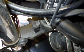 KAWASAKI NINJA 250 EX250L