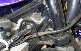 YAMAHA DT125R Gen.3 2024 3FW