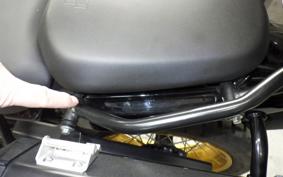 OTHER +ENFIELD ﾋﾏﾗﾔﾝ450 2025