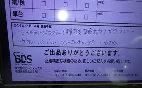 HARLEY FXBR1920 2024