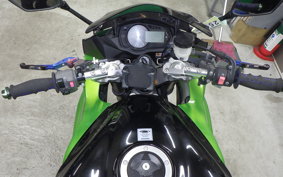 KAWASAKI NINJA 1000 2010