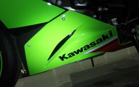 KAWASAKI NINJA ZX-6R A 2023 ZX636G