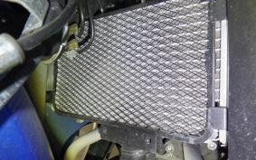SUZUKI GSX250RA 2005