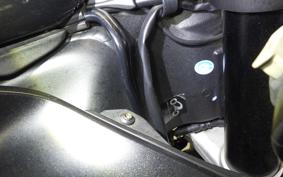 KAWASAKI NINJA ZX-6R A 2019 ZX636G