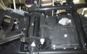 OTHER +ENFIELD ﾒﾃｵ350 2024