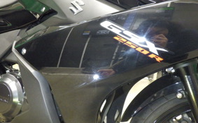 SUZUKI GSX250RA