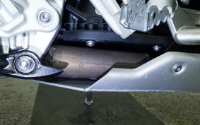 TRIUMPH TIGER 1200 RALLY 2024