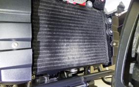 BMW G310GS 2024