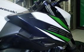 KAWASAKI Z250 Gen.2 EX250P